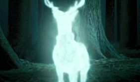 le Patronus de Harry dans PA/f